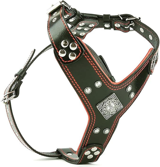 Bestia EROS Genuine Leather Dog Harness, Large Breeds, Cane Corso, Rottweiler, Boxer, Presa, Bullmastiff, Dogo, 100% Leather, Studded, M- XXL Size, Soft Padded. Made in Europe!