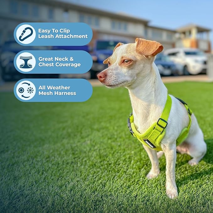 Voyager Step-in Air Dog Harness - All Weather Mesh, Reflective, No Pull Harness for Small, Medium Dogs, Cats - Secure with Hook & Loop Fastener, Buckle, Double D-Rings - Lime Green, XL