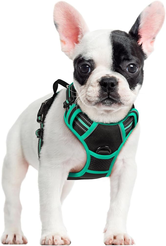 rabbitgoo Dog Harness, No-Pull Pet Harness with 2 Leash Clips, Adjustable Soft Padded Dog Vest, Reflective No-Choke Pet Oxford Vest with Easy Control Handle for Large Dogs, Black & Turquoise, S