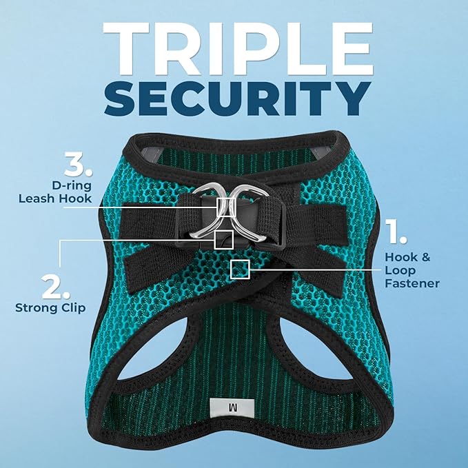 Voyager Step-in Air Dog Harness - All Weather Mesh, Reflective, No Pull Harness for Small, Medium Dogs, Cats - Secure with Hook & Loop Fastener, Buckle, Double D-Rings - Turquoise 2-Tone, M