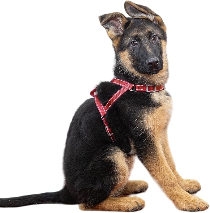 SATSUN Dog Harness Medium Sized Dog, No Pull Dog Harness with 2 Adjustable Points & 1 Leash Clip, Reflective Comfortable Dog Vest with Easy Control Handle Ideal for Walking and Training, Red,M