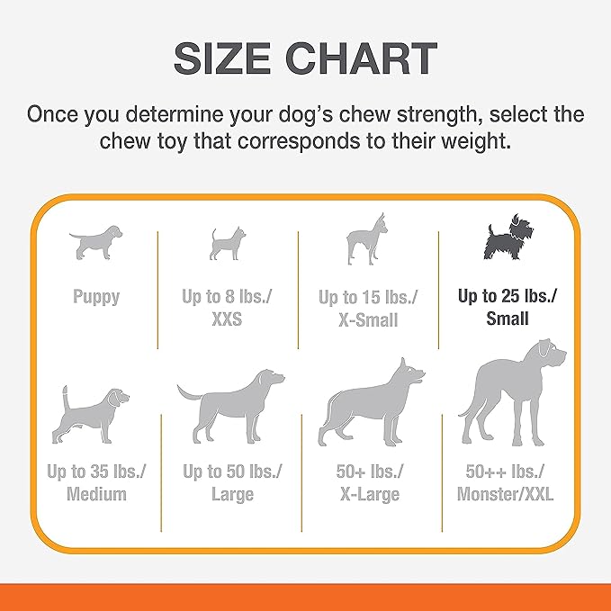 Nylabone Power Chew Customer Favorites Dog Toy Bundle, Indestructible Dog Chew Toys for Aggressive Chewers, 3 Shapes and Flavors, Flavor Medley, Small/Regular (3 Count)