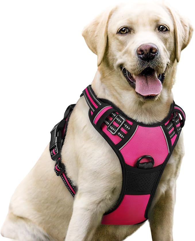 rabbitgoo Dog Harness, No-Pull Pet Harness with 2 Leash Clips, Adjustable Soft Padded Dog Vest, Reflective No-Choke Pet Oxford Vest with Easy Control Handle for Large Dogs, Hot Pink, L