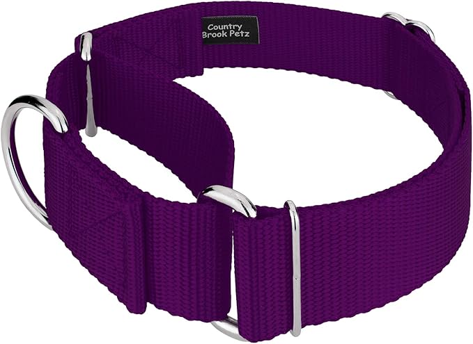Country Brook Petz 1 1/2 Inch Martingale Heavy Duty Nylon Adjustable Dog Collar for Small, Medium, Large Breeds - Vibrant 17 Color Selection (Purple, Medium)