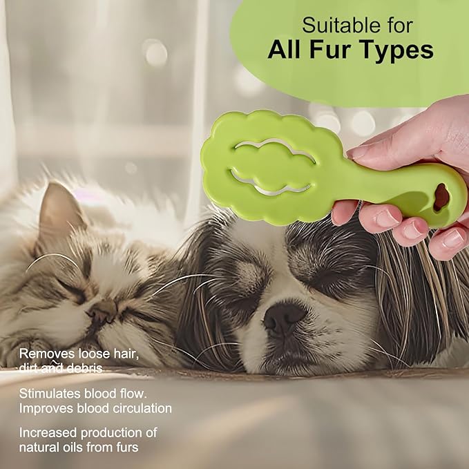 Cloud Shape Small Dog Grooming Brush - Soft Bristle Brush for Gentle Detangling & Massage - Ideal for Maltese, Shih Tzus, Yorkies, and Puppies - Portable & Durable Design, Green