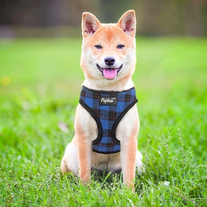 PUPTECK Soft Mesh Dog Harness and Leash Set Pet Puppy Cat Comfort Padded Vest No Pull Harnesses, Navy Blue, L