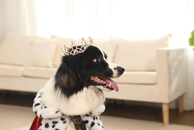 Lovelyshop Pet Series Gold Plated Royal Rhinestone Pearl Full Round Dog/Cat Crown for Rolyal Family Costume Hair Accessories-Large Size