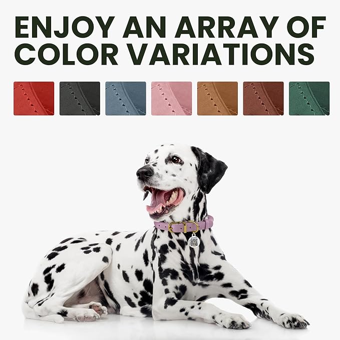 BRONZEDOG Rolled Leather Dog Collar with QR ID Tag Adjustable Soft Round Collars for Small Medium Large Dogs Puppy Cat (Emerald Green, 11" - 14 1/2" Neck Size)