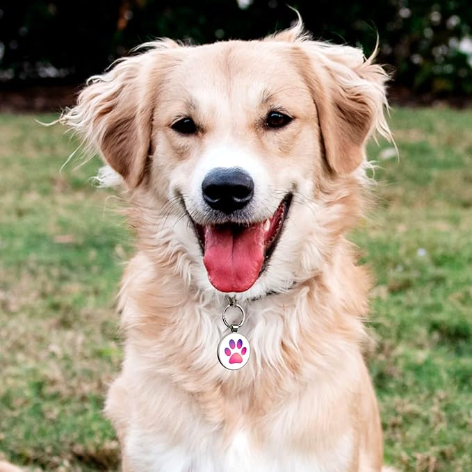 QR Code Dog Tag,Dog Tags Personalized for Pets, Custom Dog Name ID Tags Personalized Dog and Cat Tags -Free Online&Scan QR Receive Instant Location Alert Email