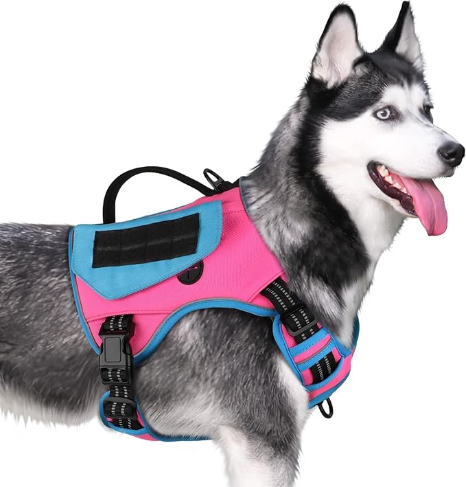 WINGOIN Tactical Dog Harness for Medium Dogs, No Pull Harness with Handle Pockets Poop Bag, Reflective Dog Vest, Military Service Heavy Duty Big Dog Harness for Walking Hiking Training, Pink Blue, M