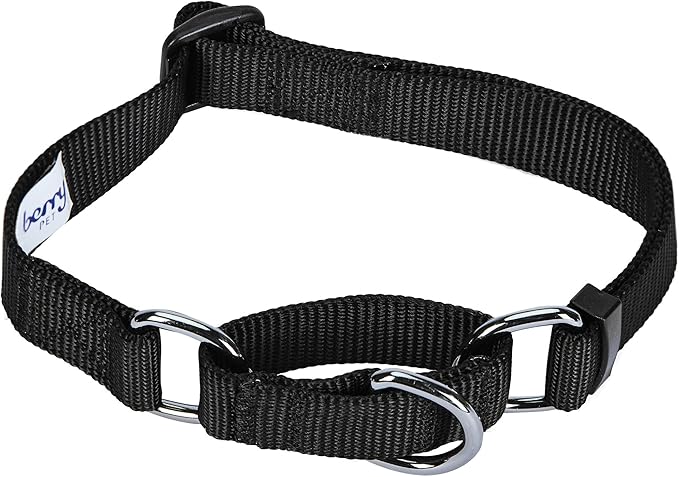 Blueberry Pet Essentials Martingale Safety Training Dog Collar, Black, Small, Heavy Duty Nylon Adjustable Collars for Dogs