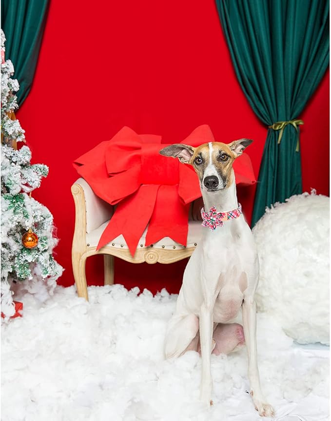 Unique style paws Dog Collar with Flower Pink & Green Plaid Dog Collar Best Gifts for Small Medium Large Dogs -XL