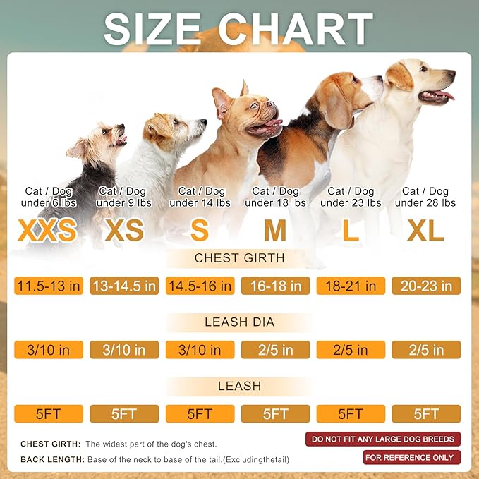 BEAUTYZOO Step in Dog Harness and Leash Set,Reflective Dog Harness No Pull No Choke Puppy Harness for Small Medium Large Dogs Cats,Soft Padded Mesh Vest Harnesses for Girl and Boy Pets, Bee XS