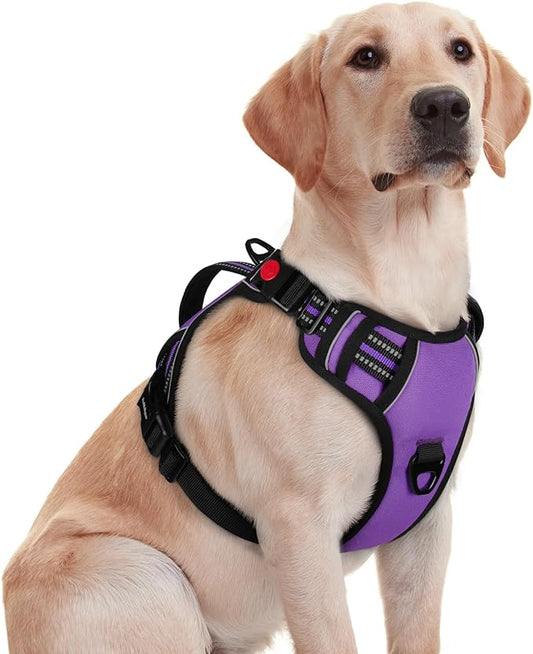 rabbitgoo Dog Harness for Large Dogs, No Pull Pet Harness with Soft Padded Handle, Adjustable Reflective Vest with 3 Buckles, Easy Walking Harness with 2 Leash Clips, Purple, M