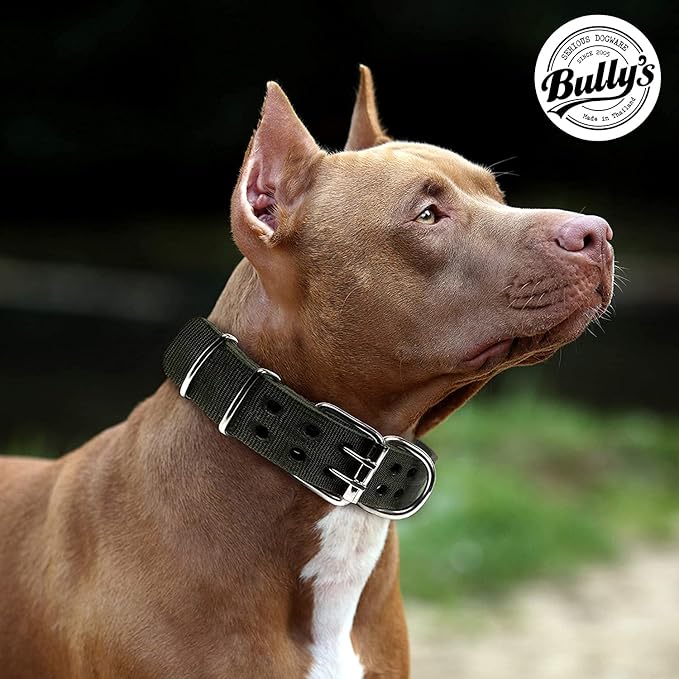 Pit Bull Collar, Dog Collar for Large Dogs, Heavy Duty Nylon, Stainless Steel Hardware (Medium-1.5 Inches Wide, Sapphire Blue)