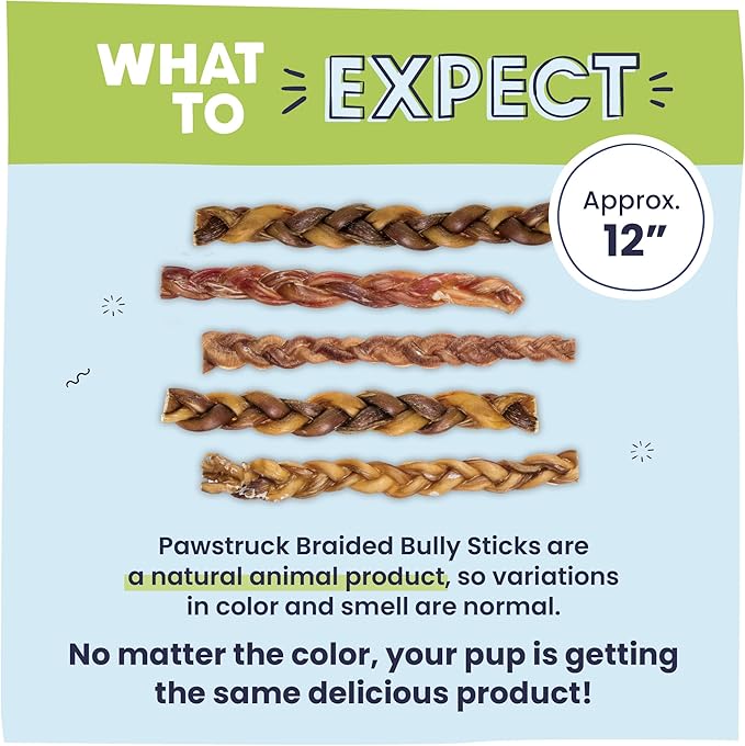 Pawstruck Natural 12” Braided Bully Sticks for Dogs - Tough Long Lasting, Rawhide Free, Low Odor, Healthy Single Ingredient Chew Treat for Aggressive Chewers - 10 Count - Packaging May Vary