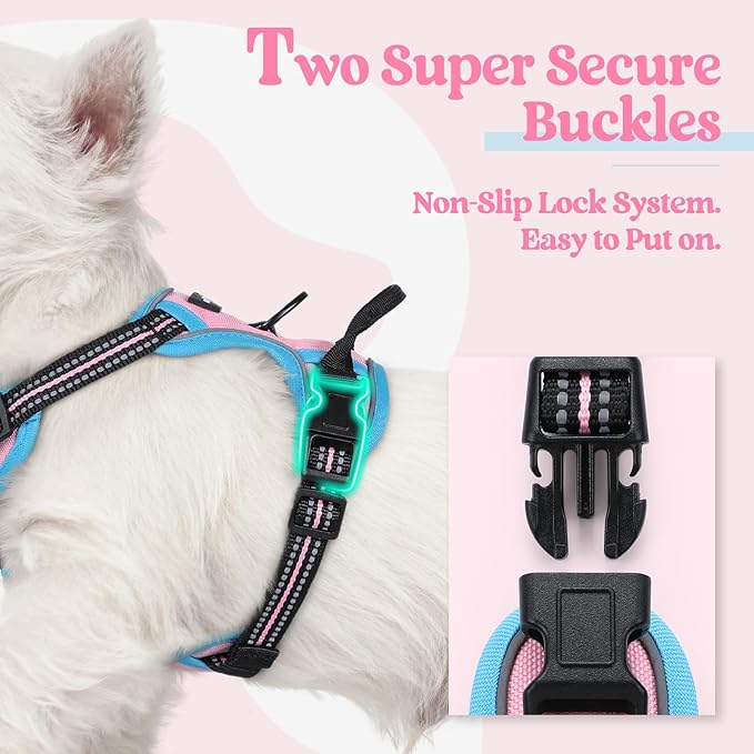 rabbitgoo Dog Harness, No-Pull Pet Harness with 2 Leash Clips, Adjustable Soft Padded Dog Vest, Reflective No-Choke Pet Oxford Vest with Easy Control Handle for Large Dogs, Pink & Blue, X-Small