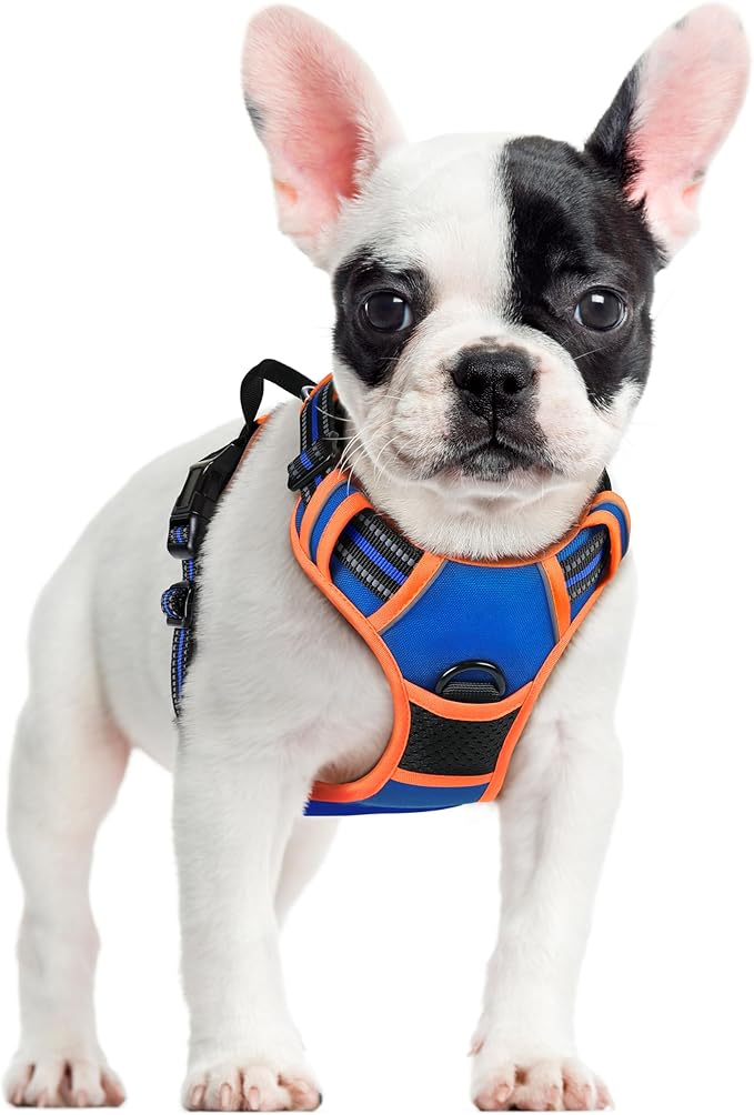 rabbitgoo Dog Harness, No-Pull Pet Harness with 2 Leash Clips, Adjustable Soft Padded Dog Vest, Reflective No-Choke Pet Oxford Vest with Easy Control Handle for Large Dogs, Blue & Orange, S