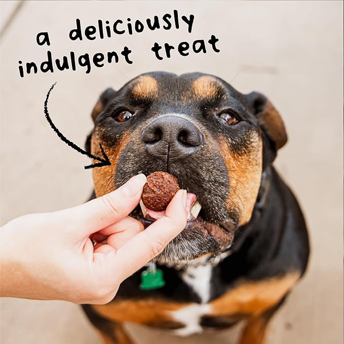 Cloud Star Wag More Bark Less Grain Free Meatballs Lamb Recipe 14 oz.