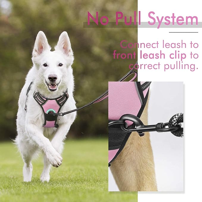 rabbitgoo Dog Harness,No-Pull Pet Harness with 2 Leash Clips, Adjustable Soft Padded Dog Vest, Reflective No-Choke Pet Oxford Vest with Easy Control Handle for Large Dogs, Pink, XL