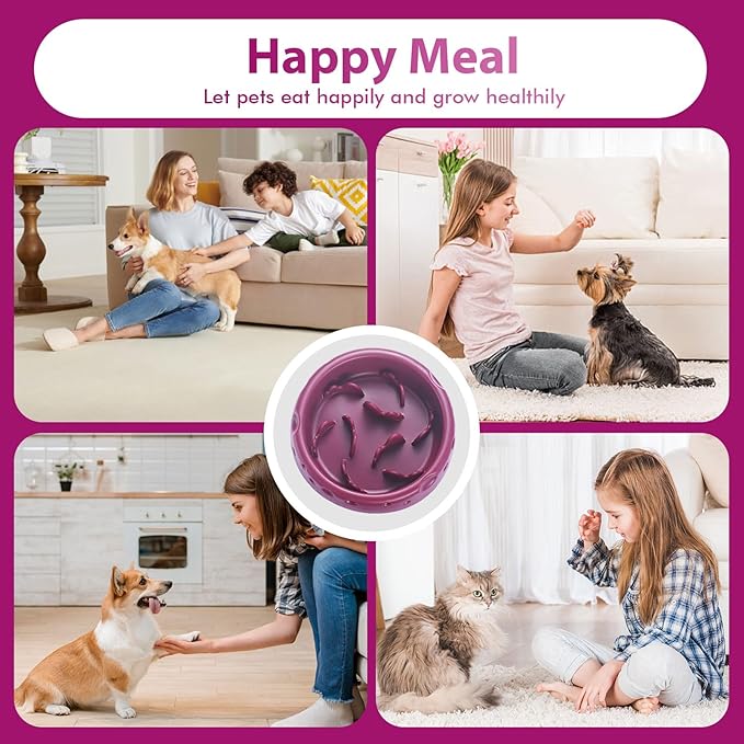 Silicone Slow Feeder Dog Bowls & Cat Bowls, 2 Cups Small Pet Food Bowl with Non-Slip Suction Base, Food-Grade Safe Puzzle Feeder for Small & Medium Dogs & Indoor Cats - Dishwasher & Microwave Safe