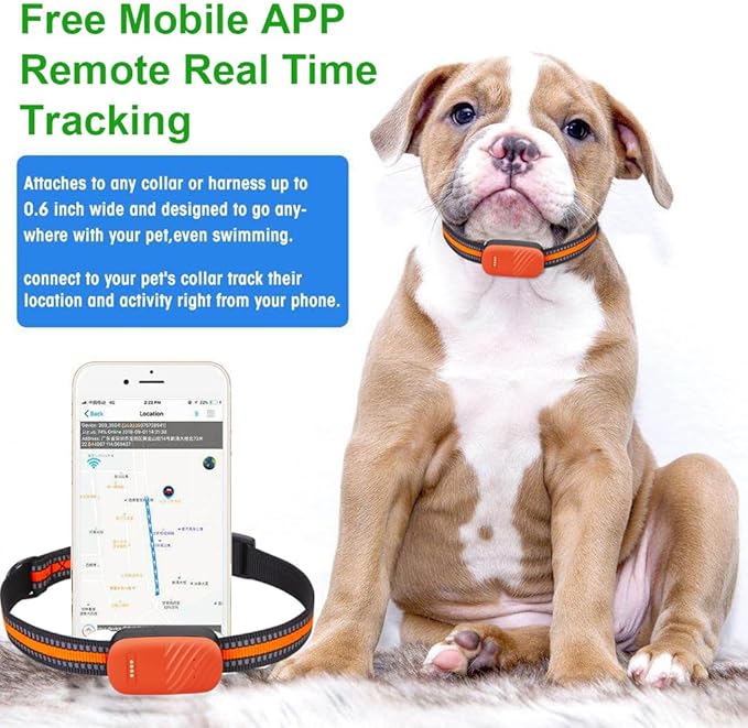 Smart Pet GPS Tracker Collar for Dogs, 4G, Real-Time Position Tracking, GPS Dog Tracker, Activity Monitor, Waterproof, Sound Alarm