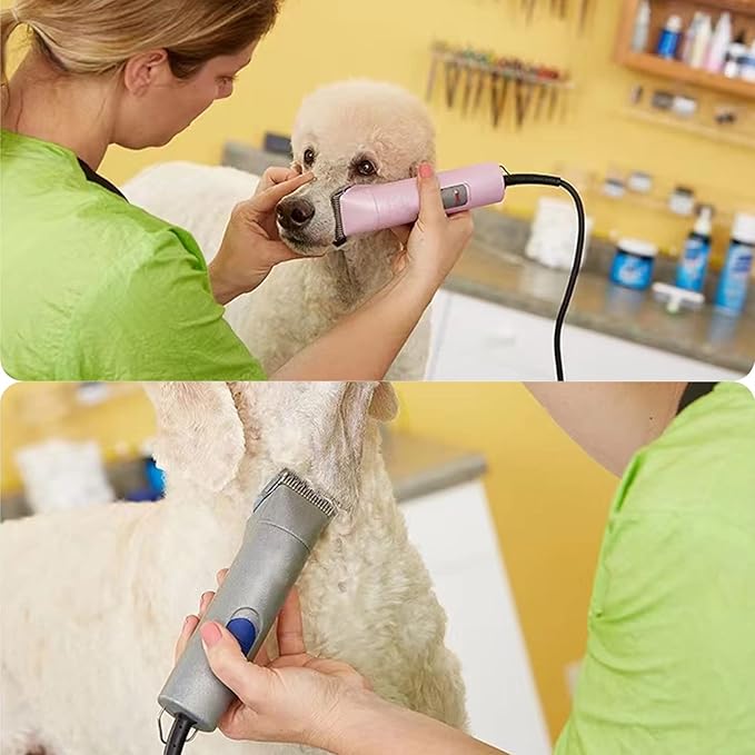 2 Packs #15 Clipper Blade Dog Grooming Compatible with Wahl/Oster Dog Clippers 3/64" 1.2mm Cut Length(Gold)