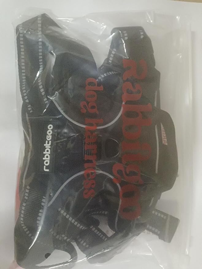 rabbitgoo Dog Harness, No-Pull Pet Harness with 2 Leash Clips, Adjustable Soft Padded Dog Vest, Reflective No-Choke Pet Oxford Vest with Easy Control Handle for Small Dogs, Blue Coral, S