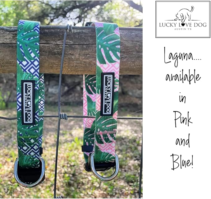 Lucky Love Dog Collar, Beautiful & Vivid Pattern Small Boy Dog Collars, Easy On & Off Clasp Accessory (Blue Laguna, S)