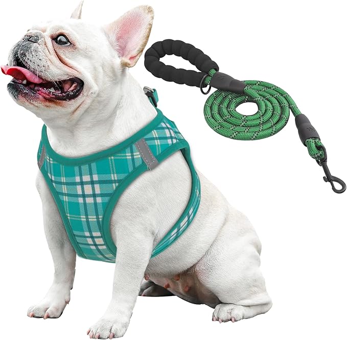 Athena Collection Step-in Dog Harness with 5 ft Leash, Medium Dog Harness Leash Set Large No Pull Dog Vest Harness with Reflective Strips Adjustable Velcro, Easy Walk Dog Harness, Green