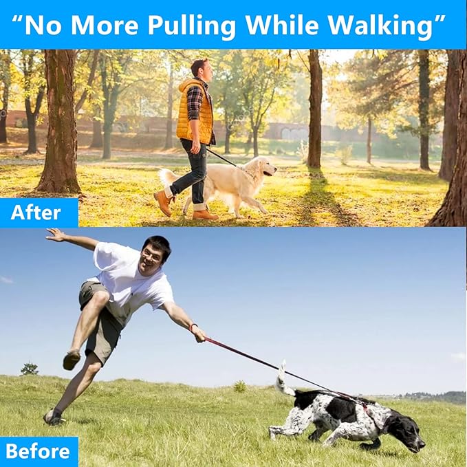 Dog Training Collar, Martingale Collar for Large Medium Small Dogs