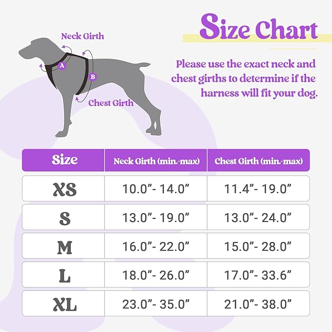 rabbitgoo Dog Harness, No-Pull Pet Harness with 2 Leash Clips, Adjustable Soft Padded Dog Vest, Reflective No-Choke Pet Oxford Vest with Easy Control Handle for Large Dogs, Purple & Yellow, XS