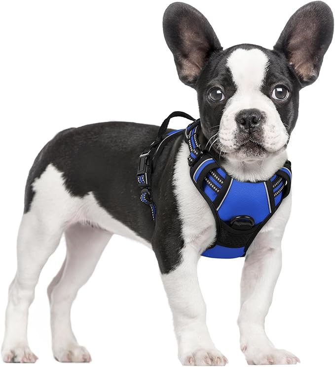 rabbitgoo Dog Harness, No-Pull Pet Harness with 2 Leash Clips, Adjustable Soft Padded Dog Vest, Reflective No-Choke Pet Oxford Vest with Easy Control Handle for Small Dogs, Dazzling Blue, S
