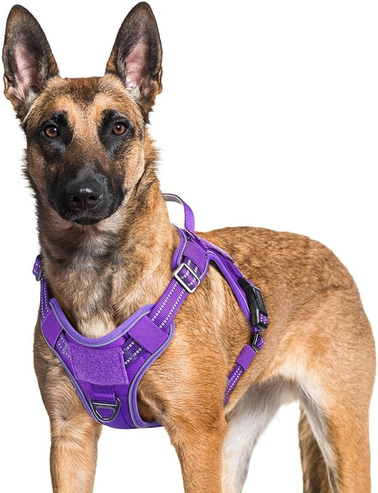 rabbitgoo Dog Harness for Large Dogs No Pull, Tactical Service Dog Vest with Molle and Control Handle, Adjustable and Reflective Military Pet Harness for Easy Walking and Training, Purple, XL