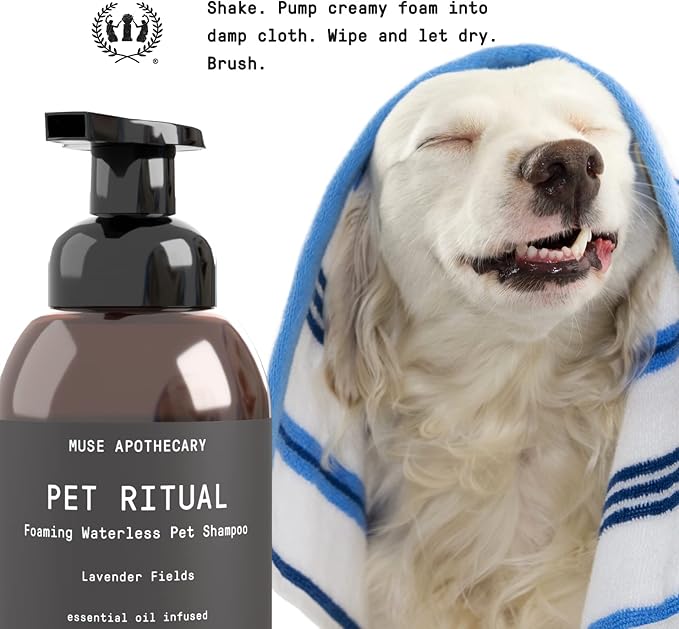 Muse Apothecary Pet Ritual Foaming Waterless Dog Shampoo - No Rinse Dry Shampoo for Dogs & Cats - Essential Oils Infused, 11.5oz, Oatmeal + Mango