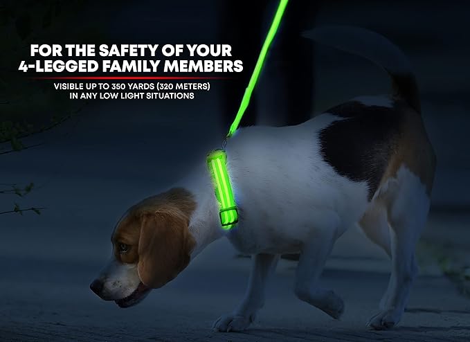 Illumiseen LED Dog Collar USB Rechargeable - Bright & High Visibility Lighted Glow Collar for Pet Night Walking - Weatherproof, in 6 Colors & 6 Sizes (Green Medium)