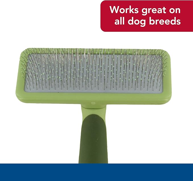 Coastal Pet Safari Dog Soft Slicker Brush - Dog Grooming Brush for Shedding - for Dogs with Short, Medium and Long Hair - Large - 6.75" x 4.375"