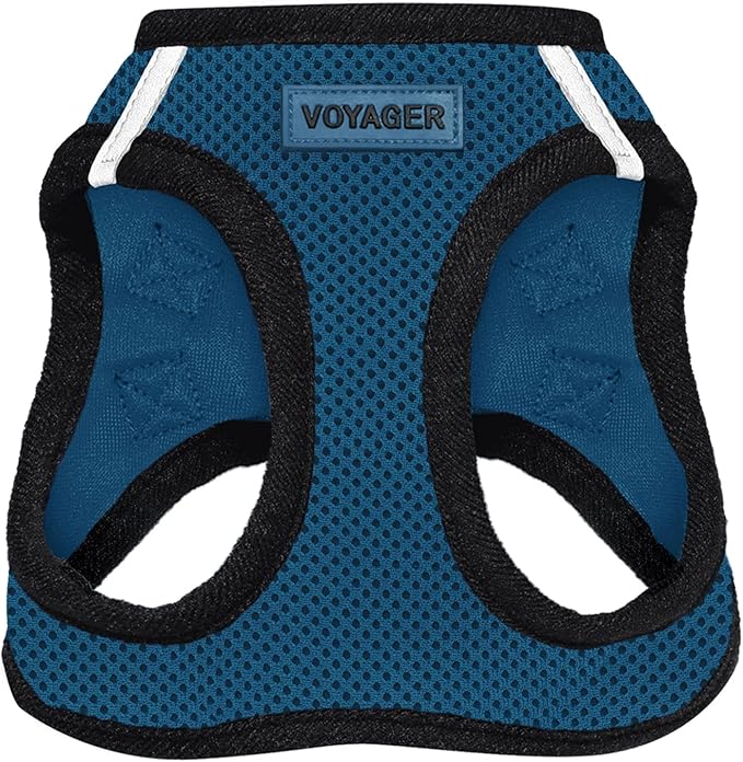 Voyager Step-in Air Dog Harness - All Weather Mesh, Reflective, No Pull Harness for Small, Medium Dogs, Cats - Secure with Hook & Loop Fastener, Buckle, Double D-Rings - Blue/Black Trim, XS