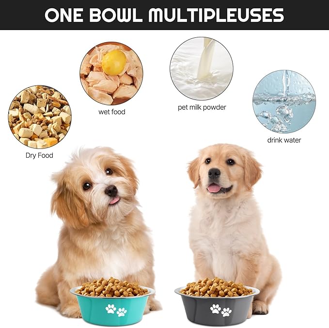 Stainless Steel Dog Bowls 2 Pack Large Extra Large Dogs Feeding Food Water Bowl with Non-Slip Silicone Sole, Dog Dishes Elevated Raised Pet Feeder(Green+Grey, XL(8.5 Cups))