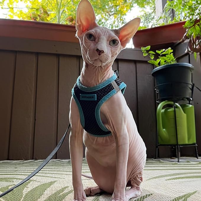 Voyager Step-in Air Dog Harness - All Weather Mesh, Reflective, No Pull Harness for Small, Medium Dogs, Cats - Secure with Hook & Loop Fastener, Buckle, Double D-Rings - Black/Blue Trim, L