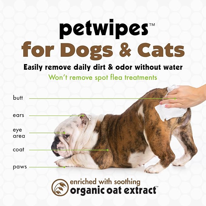 Petkin Mega Valu-Pak Pet Wipes, 500 Total Wipes - Oatmeal Pet Wipes for Dogs and Cats - for Face, Paws, Ears, and Body - Super Convenient Dog Cleaning Wipes, Ideal for Home or Travel - Easy to Use