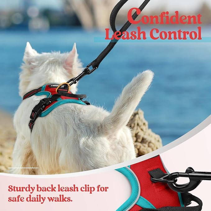 rabbitgoo Dog Harness, No-Pull Pet Harness with 2 Leash Clips, Adjustable Soft Padded Dog Vest, Reflective No-Choke Pet Oxford Vest with Easy Control Handle for Large Dogs, Red & Teal, X-Small