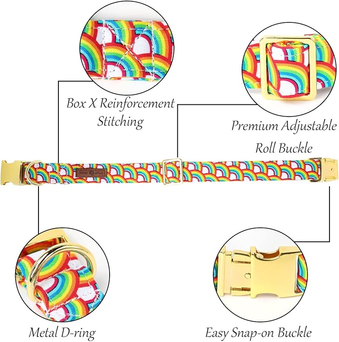 Lionet Paws Rainbow Female Dog Collar with Flower, Soft and Comfortable Adjustable LGBT Pride Collar for Dogs, Medium, Neck 13.5-22 inches