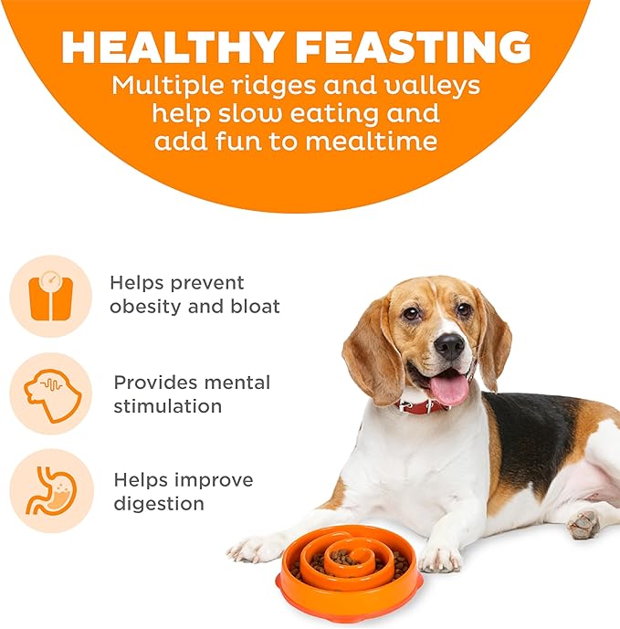 Outward Hound Fun Feeder Slow Bowl in Orange Plastic for Dogs