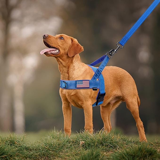 Annchwool No Pull Dog Harness with Padded Handle+5 Ft Leash,Reflective Strip Escape Proof and Quick Fit to Adjust Dog Harness,Easy for Training Walking for Small & Medium and Large Dog(Blue-Set,M)