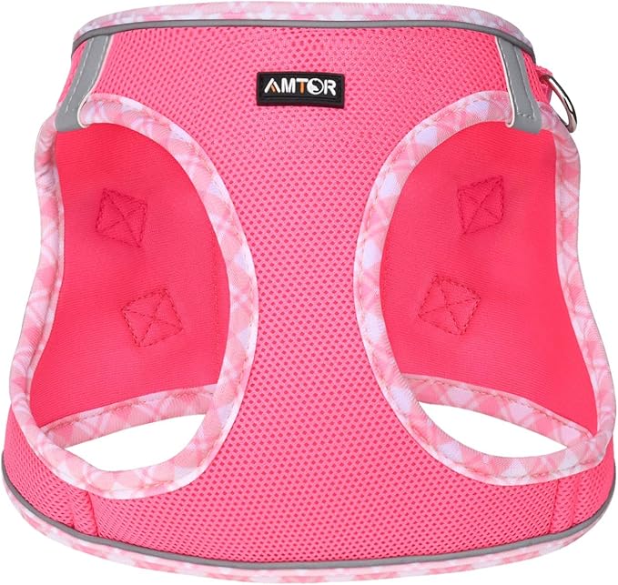 AMTOR Small Dog Harness with Leash Set, No Escape Easy Walk Puppy Harnesses for Training Walking, Step-in Reflective Soft Dogs Vest for XS S Medium Extra-Small Large Sized Dog(Fuchsia,XXS)