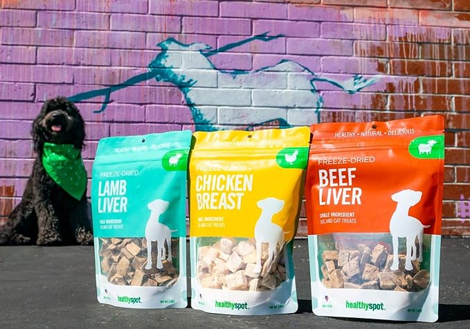 Healthy Spot / Mind Body Bowl - 2.5 oz Chicken Breast Freeze-Dried Treats - Healthy Snacks for Dogs and Cats, 1 Pack