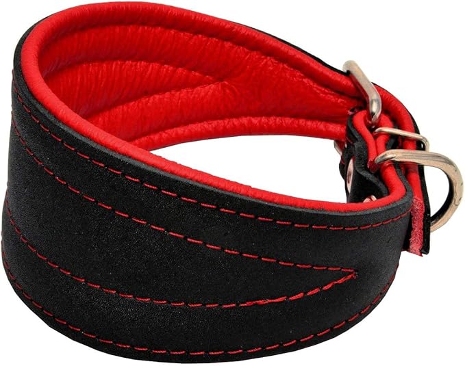 Real Leather Extra Wide Padded Tapered Dog Collar Glossy Black Greyhound Saluki Deerhound Lurcher Whippet Dachshund (8"-9.25" Neck; 1.75" Wide, Red)