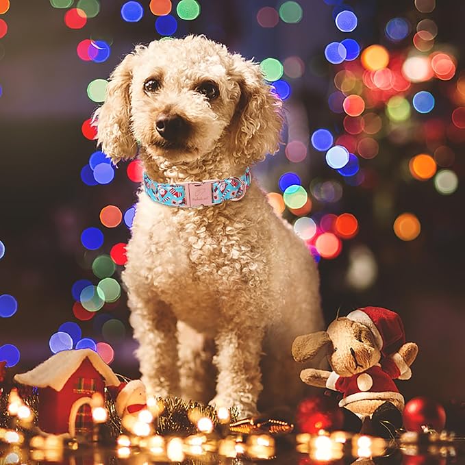 Christmas Dog Collars for Large Dog,Blue Santa Claus Dog Collar with Safety Metal Buckle Adjustable Puppy Collars for Small Medium Dog,Boy&Girl&Male&Female Dog Gift,XL-16-26"