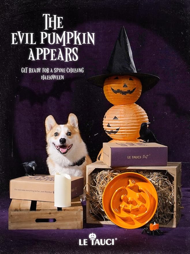 LE TAUCI Ceramic Slow Feeder Dog Bowls Small Breed, 0.6 Cups Dog Food Dish for Fast Eaters, Puzzle Bowl for Small Dogs and Cats,Pumpkin Orange